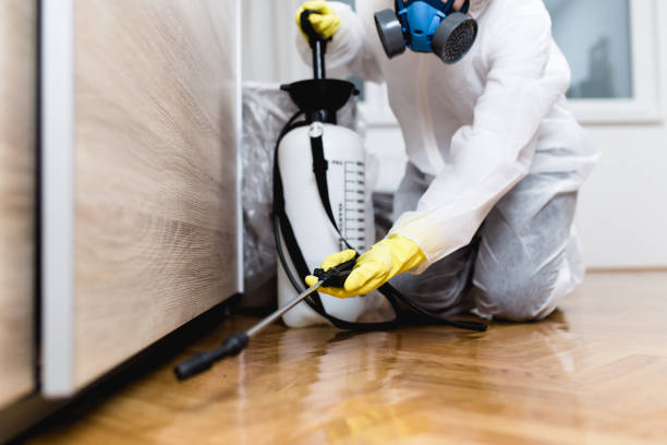 Best Exterminator Services  in Milltown, NJ