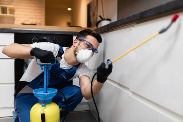 Best Affordable Pest Control Services  in Milltown, NJ