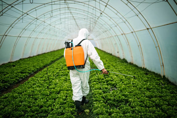 Best Pest Prevention Services  in Milltown, NJ