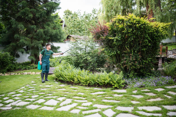 Best Pest Control Near Me in Milltown, NJ