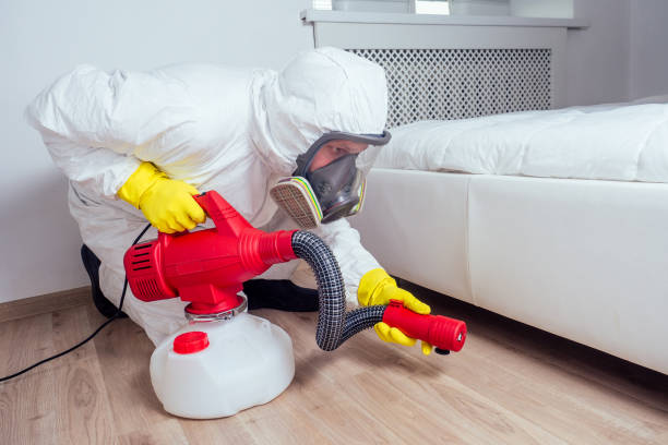 Best Wasp Removal Services  in Milltown, NJ