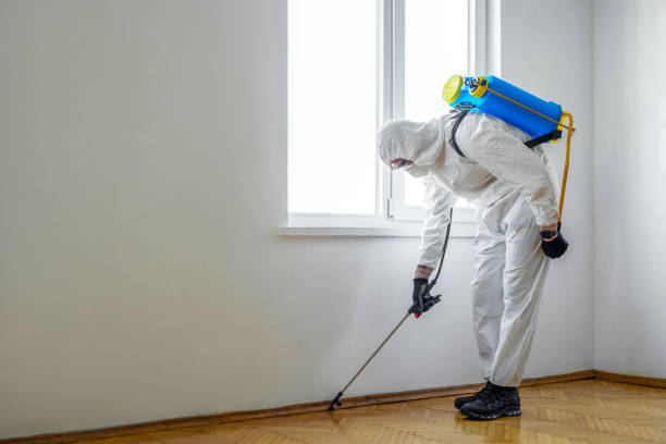 Best Best Pest Control Companies  in Milltown, NJ