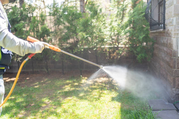 Reliable Milltown, NJ Pest Control Solutions