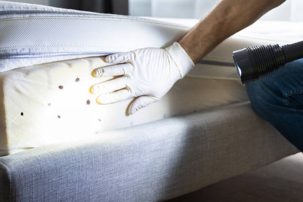 Best Pest Control for Businesses  in Milltown, NJ