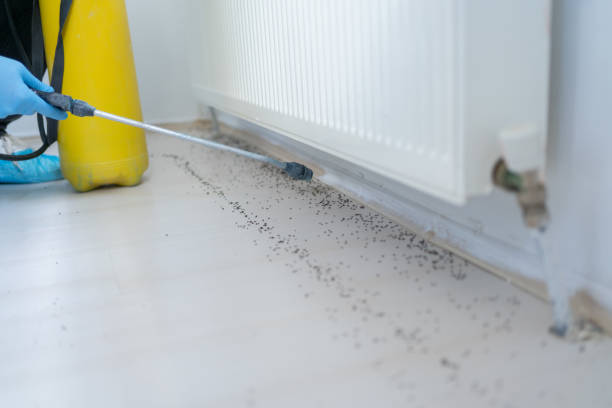 Best Residential Pest Control  in Milltown, NJ