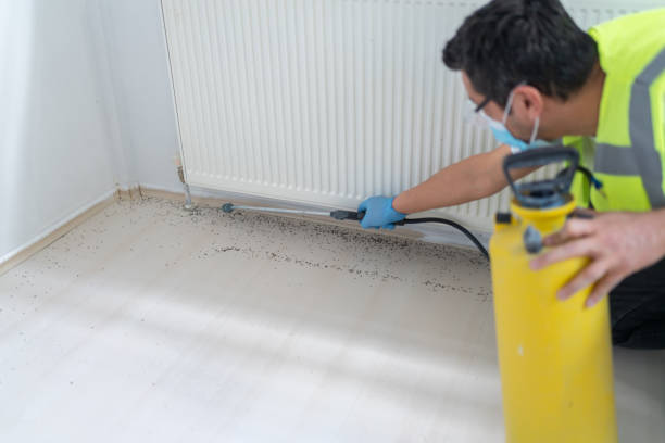 Best Mosquito Control Services  in Milltown, NJ